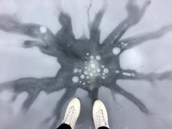 Ice skating Photo: Laurie D. Morrissey