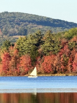 Autumn Photo: David Nallett
