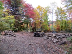 Summer harvest Photo: Steve Eustis
