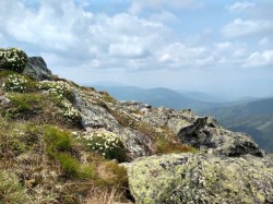 Mount Monroe Photo: Irina N. Burnina