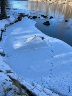19-stocker-ice-tracks.jpg Photo: Wayne Stocker
