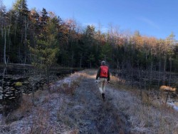Forester in the woods Photo: Hale Morrell
