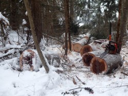 Snow chainsaw Photo: Gordon Gould