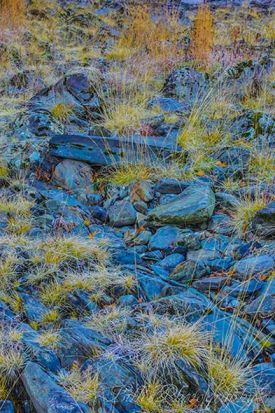 1_9h5a1406.jpg thumbnail