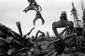 Grapple Skidder thumbnail