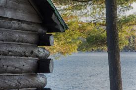 Log Building thumbnail