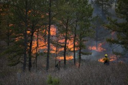 Ignition Team Photo: Joel R. Carlson