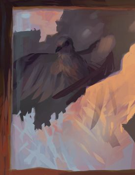 1_GrayJay.jpg thumbnail