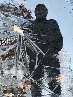 Ice reflection Photo: Marion Simao