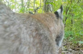 1_IMG_0405_head.jpg thumbnail