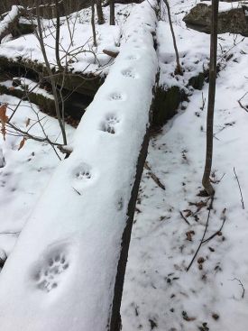 1_img_7658.jpg thumbnail