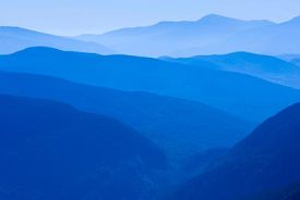 Northern Forest thumbnail