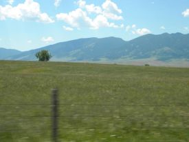 1openingshot.jpg thumbnail