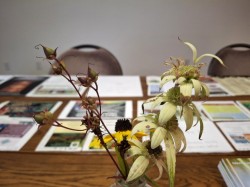 Indoor flowers Photo: Emily S. Rowe