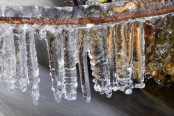 20_icicles.jpg