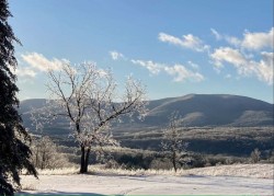 Taconic Ice Photo: Karinne Heise