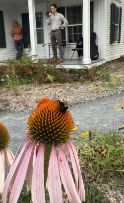 Bee Photo: Meghan McCarthy McPhaul