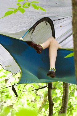 Reading tree Photo: Anonymous