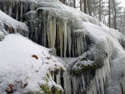 Icicles Photo: Sheri Larsen