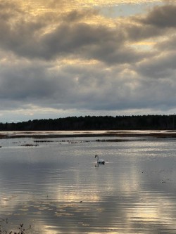 Burrage Pond Photo: Jenn Merlan