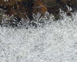 Interesting ice crystals Photo: Sheri Larsen