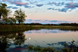 Beaver moon Photo: Liz Thompson