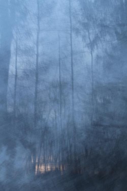 27_foggy_sugar_woods.jpg
