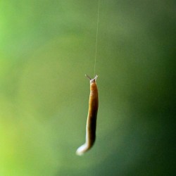 Slug Photo: Sandy Dannis