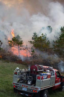 Prescribed burn Photo: Joel R. Carlson