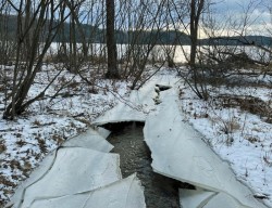 Frozen lake Photo: Sheri Larsen