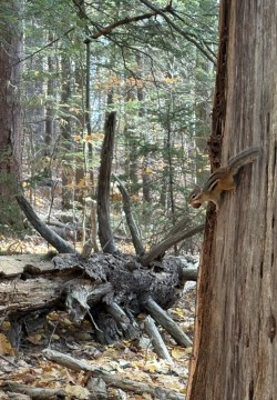 Winter readiness Photo: Nancy Kluck