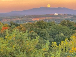 Super moon Photo: Lynette Reep