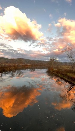River reflection Photo: Abby Jackman