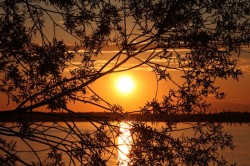 Stunning sunset Photo: Leif Tillotson