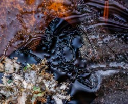 Shoreline melt Photo: Steven Arcone