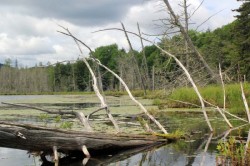 Seventh Lake Photo: John W. Blaser