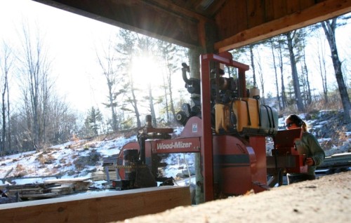 Katrina Amaral Milling