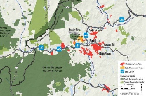 Chadbourne Conservation Land