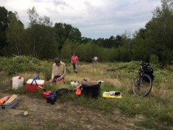 Retooling chainsaw Photo: Greater Worcester Land Trust