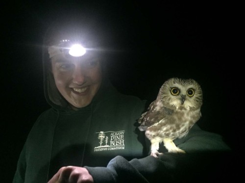 3_owl_banding.jpg