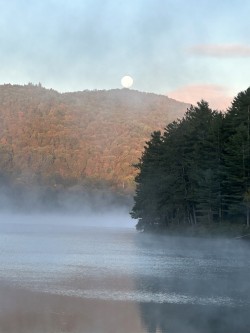 Moon mist Photo: Tom Nold