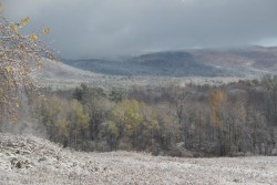 Snowfall Photo: Clare Lise Kelly
