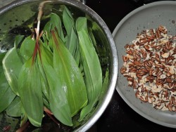 Ramps Photo: Tami Gingrich