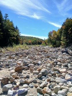 Dry crossing Photo: Joyce Layne
