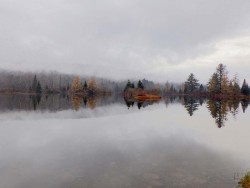Coffin Pond Photo: Frank Kaczmarek