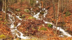 Two streams Photo: Richard Philben