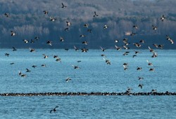 Lake Champlain Photo: Sheri Larsen
