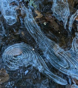 Ice art Photo: Karinne Heise