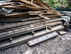 Blue Brook Shelter Photo: Caroleen “Mac” McKenzie-Dudley