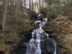 Spring runoff Photo: Richard A. Philben